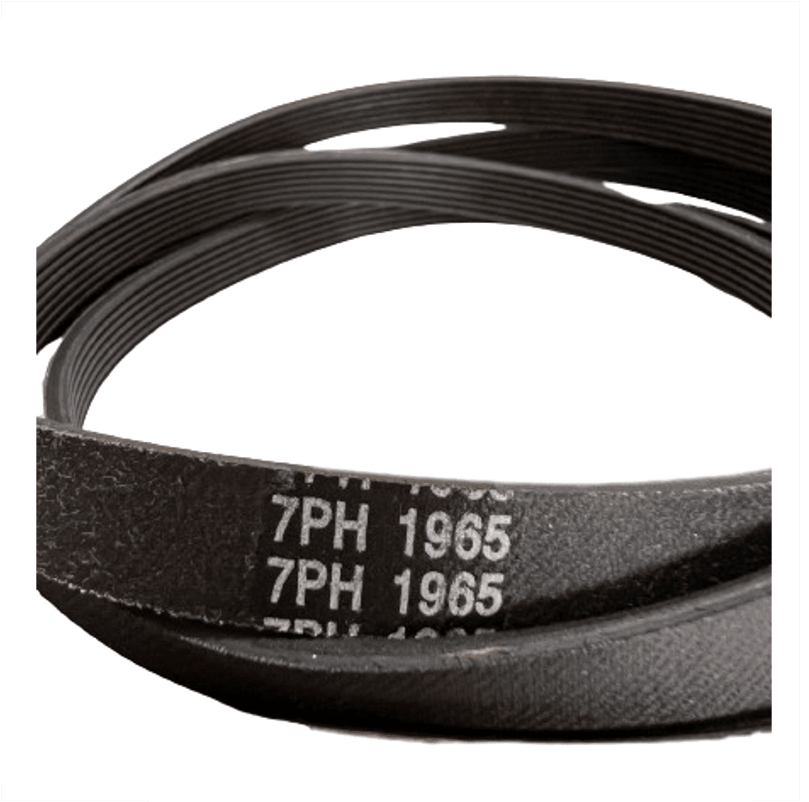 CINGHIA ELASTICA 7 Righi 2012H7 Per Asciugatrice Smeg Akai Vestel